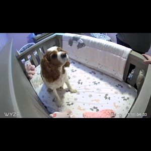 Meet your Posher, Justin